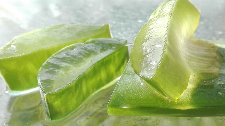 Aloe vera pura prima e dopo: cosa aspettarsi realmente dall'integrazione